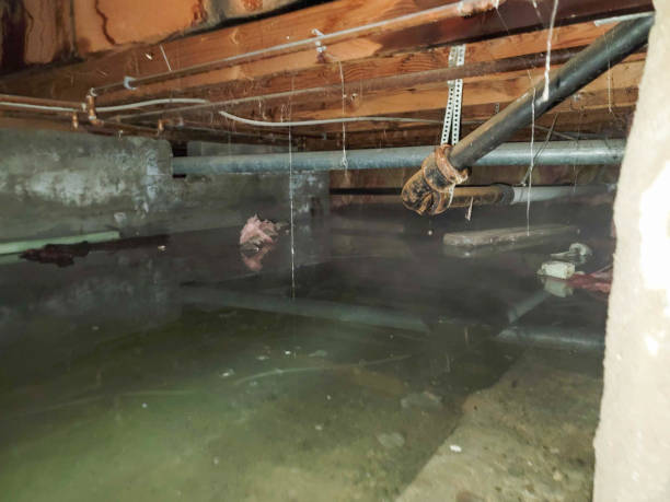 Reliable NJ Water damage restoration Solutions