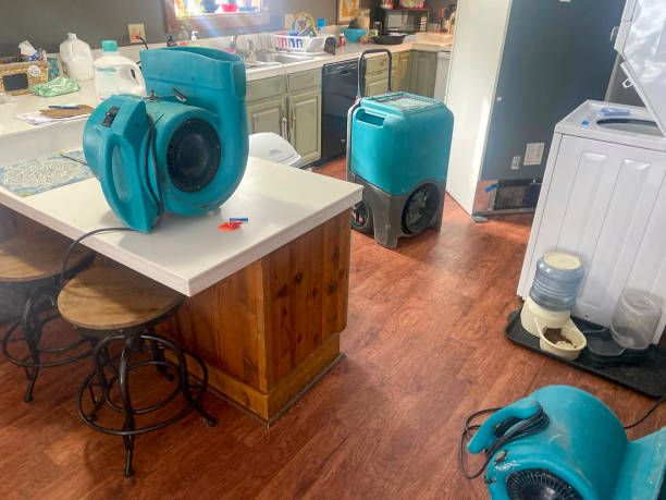 Best Basement water damage restoration  in Ridgefield Park, NJ