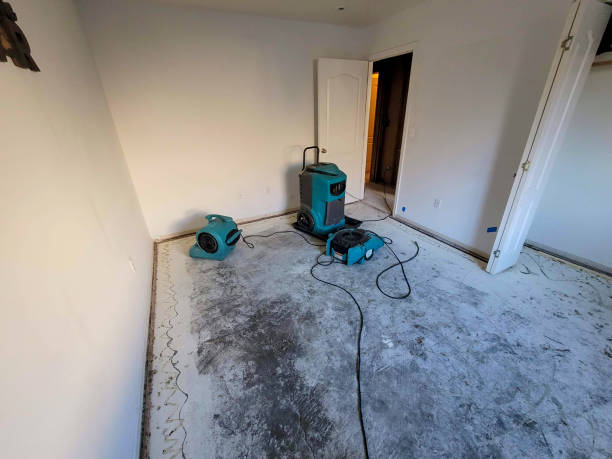 Best Flooded house restoration  in Ridgefield Park, NJ