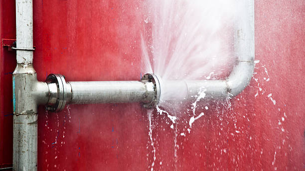 Best Water damage restoration mold remediation  in Ridgefield Park, NJ